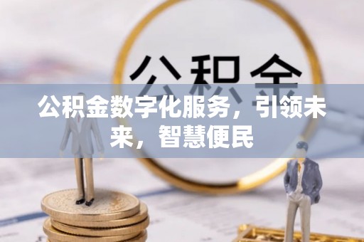 萝北公积金数字化服务，引领未来，智慧便民