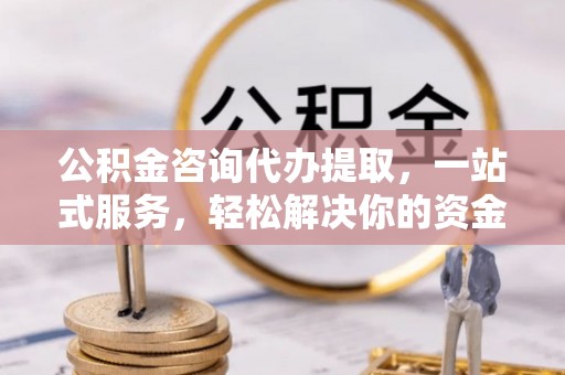 萝北公积金咨询代办提取，一站式服务，轻松解决你的资金难题
