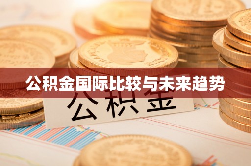 萝北公积金国际比较与未来趋势