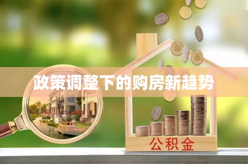萝北政策调整下的购房新趋势