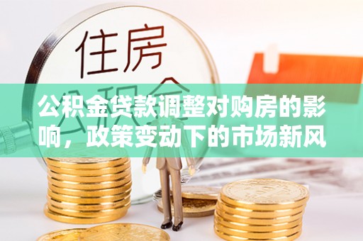 萝北公积金贷款调整对购房的影响，政策变动下的市场新风向