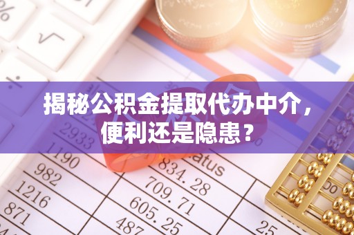 萝北揭秘公积金提取代办中介，便利还是隐患？