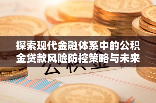 萝北探索现代金融体系中的公积金贷款风险防控策略与未来发展趋势