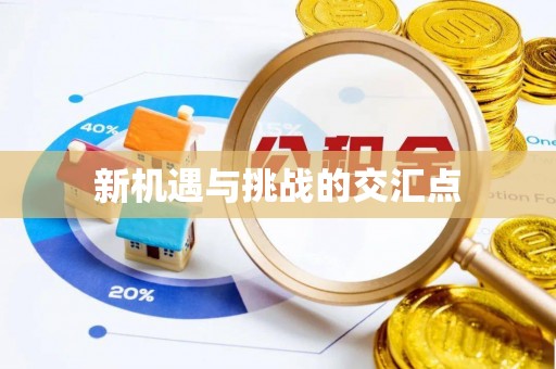 萝北新机遇与挑战的交汇点