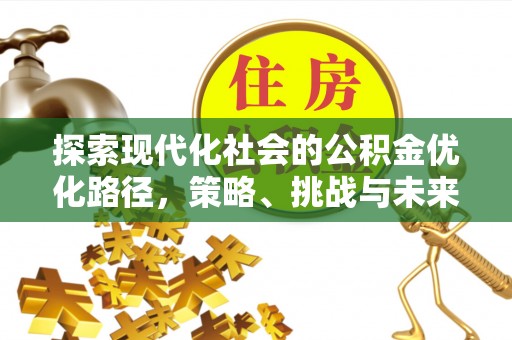 萝北探索现代化社会的公积金优化路径，策略、挑战与未来展望
