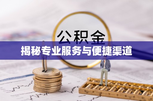萝北揭秘专业服务与便捷渠道