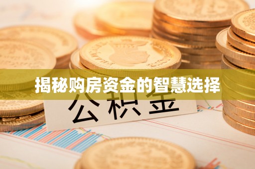 萝北揭秘购房资金的智慧选择