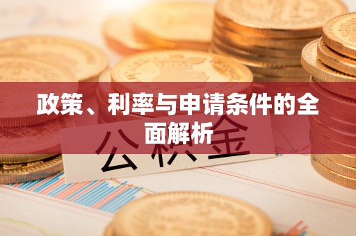 萝北政策、利率与申请条件的全面解析