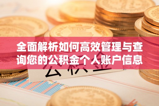 萝北全面解析如何高效管理与查询您的公积金个人账户信息