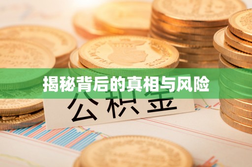 萝北揭秘背后的真相与风险