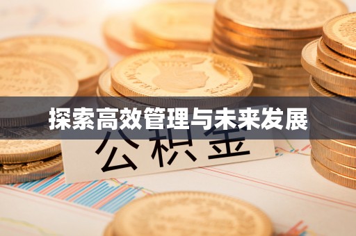 萝北探索高效管理与未来发展