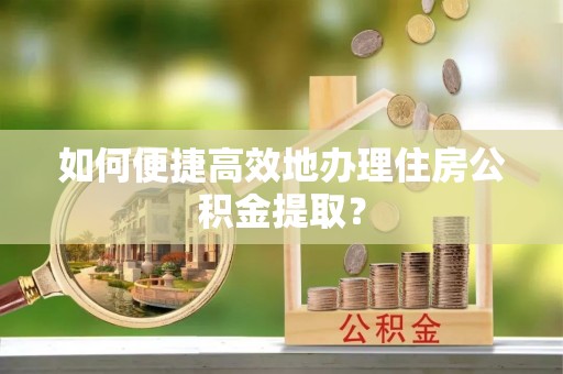 萝北如何便捷高效地办理住房公积金提取？