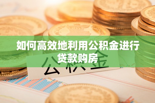 萝北如何高效地利用公积金进行贷款购房