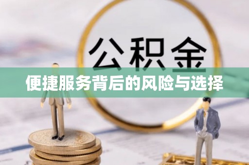 萝北便捷服务背后的风险与选择